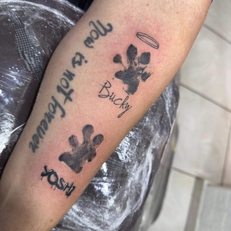 b232002a-983f-40bc-a9e4-c7aca7ddd8df