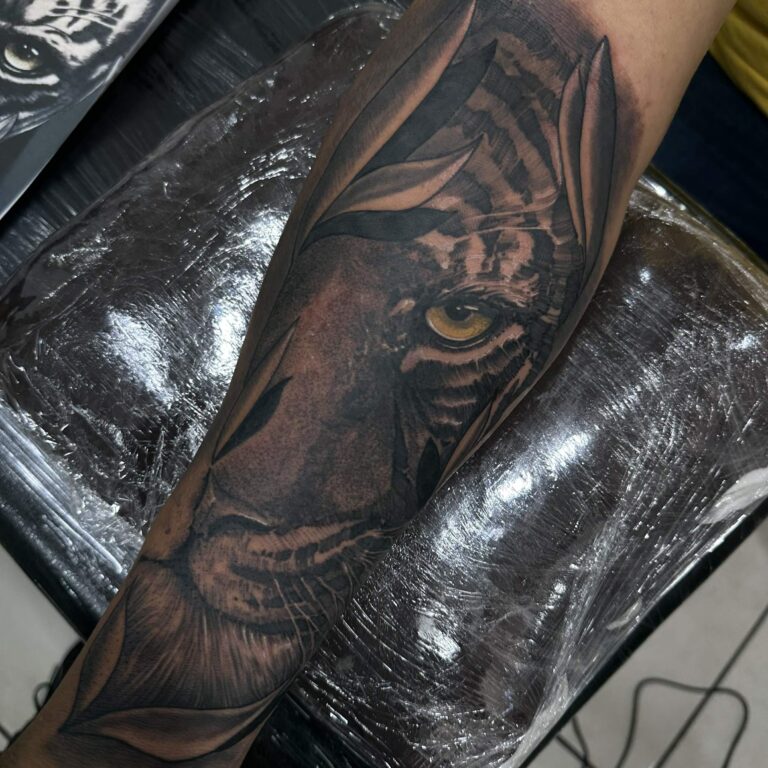 b3a5a935-1da4-42be-a632-247e3e018720